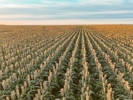 Farm and Ranch for sale in Ellis County, Kansas