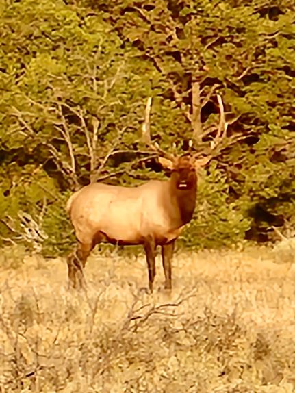 Land for sale in Rio Arriba County, New Mexico