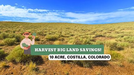 Undeveloped Land for sale in Costilla County, Colorado
