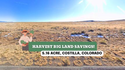 Undeveloped Land for sale in Costilla County, Colorado