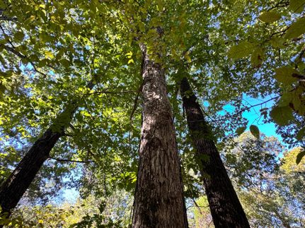 Recreational Property for sale in Hardin County, Illinois