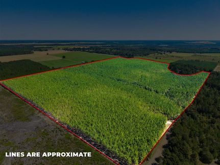Farm and Ranch for sale in Marion County, Georgia