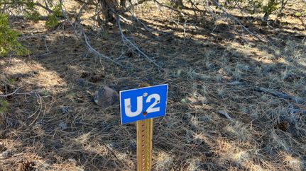 Land for sale in Catron County, New Mexico