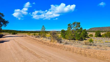 Land for sale in Catron County, New Mexico