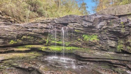 Farm and Ranch for sale in Jackson County, Alabama