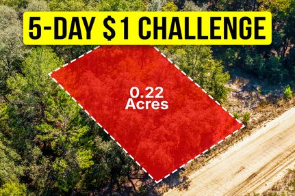 Undeveloped Land for sale in Putnam County, Florida