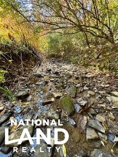 Hunting Property for sale in Clay County, Kentucky