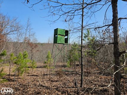 Land for sale in Searcy County, Arkansas