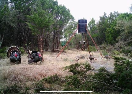 Recreational Property for sale in Callahan County, Texas