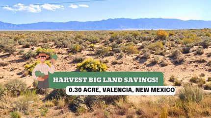 Undeveloped Land for sale in Valencia County, New Mexico