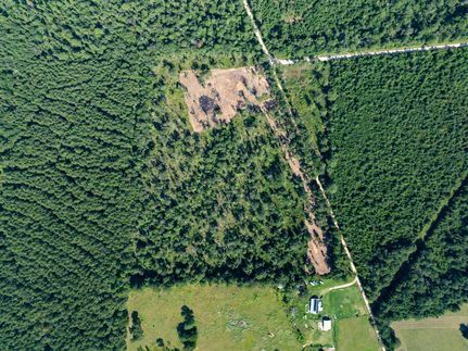 Undeveloped Land for sale in Polk County, Texas