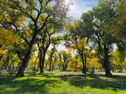 Recreational Property for sale in San Juan County, New Mexico