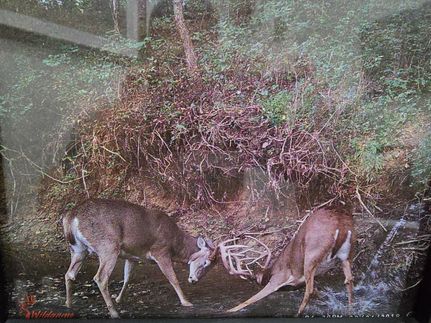 Farm and Ranch for sale in Miami County, Kansas