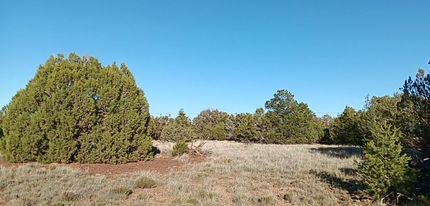Timberland Property for sale in Apache County, Arizona