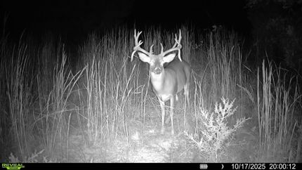 Land for sale in Creek County, Oklahoma