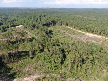Undeveloped Land for sale in Pickens County, Alabama
