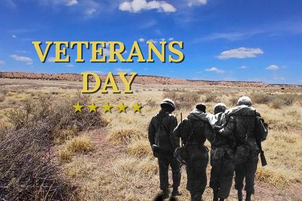 Undeveloped Land for sale in Apache County, Arizona