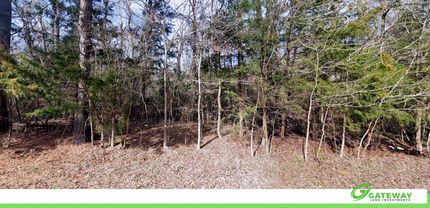 Recreational Property for sale in Cherokee County, Texas