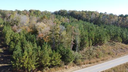 Land for sale in Cleburne County, Alabama