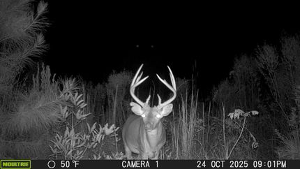 Land for sale in Butler County, Alabama