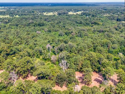 Undeveloped Land for sale in Liberty County, Texas