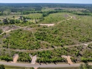 Undeveloped Land for sale in Laurens County, Georgia