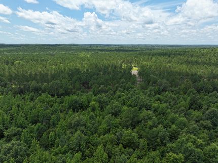 Farm and Ranch for sale in Harrison County, Texas