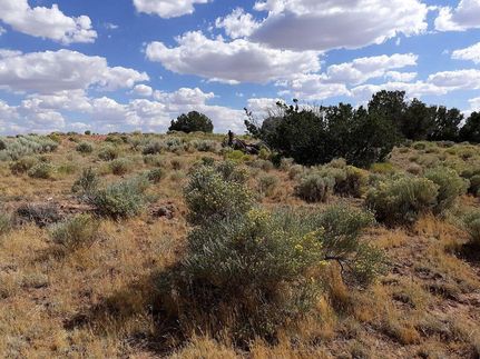 Land for sale in Apache County, Arizona