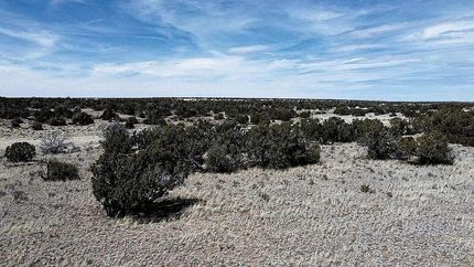 Farm and Ranch for sale in Apache County, Arizona