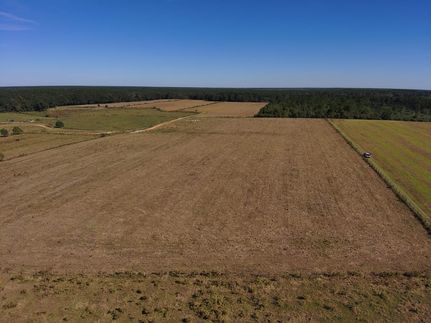 Land for sale in Baldwin County, Alabama