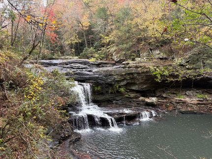 Land for sale in Jackson County, Alabama