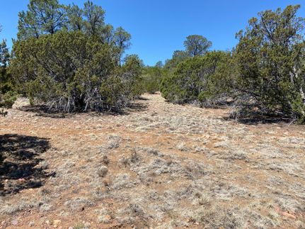 Undeveloped Land for sale in Apache County, Arizona