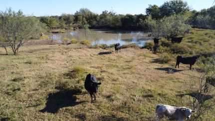 Farm and Ranch for sale in Hill County, Texas