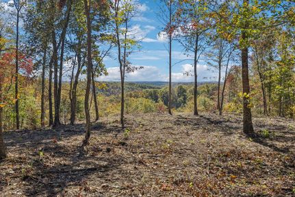 Timberland Property for sale in Scott County, Tennessee