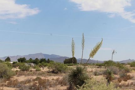 Undeveloped Land for sale in Luna County, New Mexico