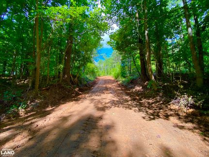 Timberland Property for sale in Perry County, Alabama