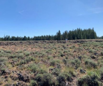 Undeveloped Land for sale in Klamath County, Oregon