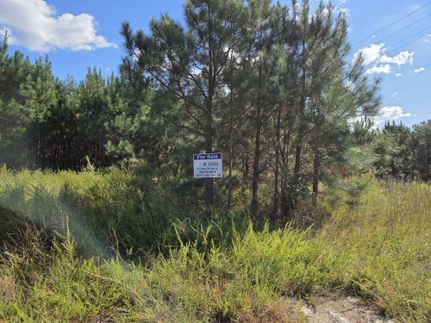 Farm and Ranch for sale in Brunswick County, Virginia