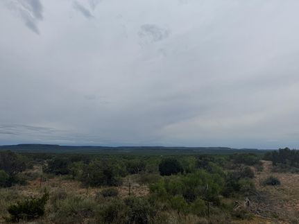 Recreational Property for sale in Coke County, Texas