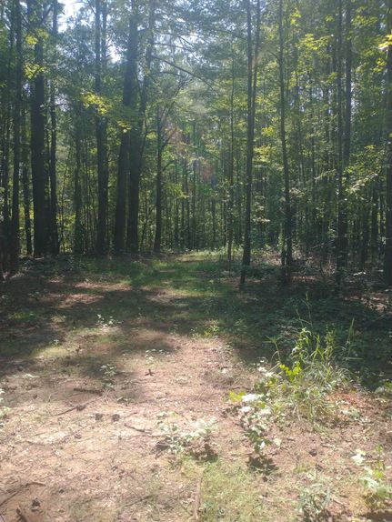 Farm and Ranch for sale in Coosa County, Alabama