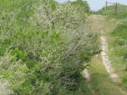 Recreational Property for sale in Duval County, Texas