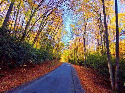 Undeveloped Land for sale in Raleigh County, West Virginia