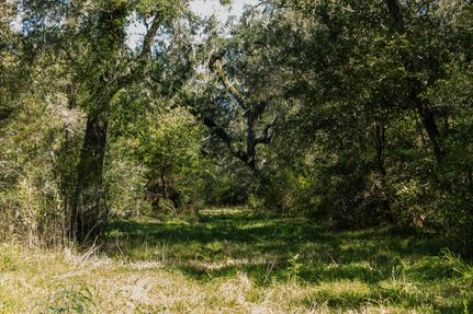 Land for sale in Brazoria County, Texas