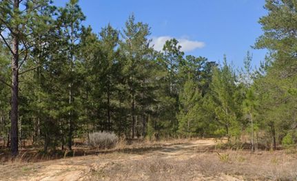 Land for sale in Putnam County, Florida