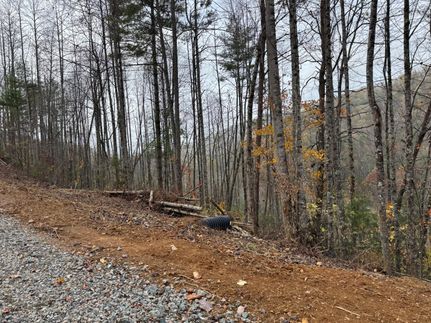 Undeveloped Land for sale in Johnson County, Tennessee