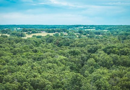 Undeveloped Land for sale in Texas County, Missouri