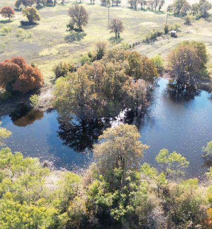 Timberland Property for sale in Callahan County, Texas