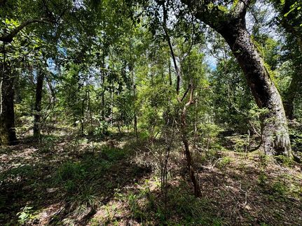 Land for sale in Madison County, Florida