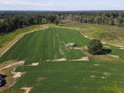 Recreational Property for sale in Pike County, Alabama