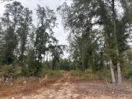Land for sale in Covington County, Alabama